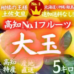42高知特産 露地栽培 土佐文旦 3L4L文旦 約5kg 大玉 サイズ - メルカリ
