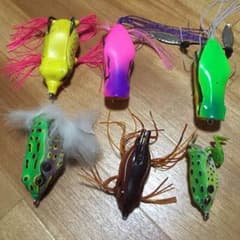 フロッグセットのサムネイル