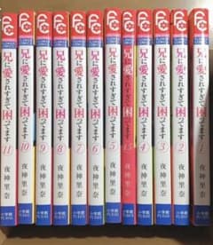 兄に愛されすぎて困ってます  ワケあって昨日うばわれました あっちゃん様専用ですのサムネイル