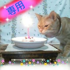 yims様専用のサムネイル