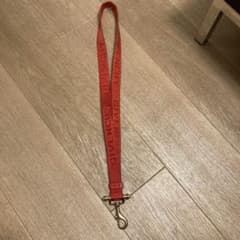 GIVENCHY ジバンシー　キーストラップのサムネイル