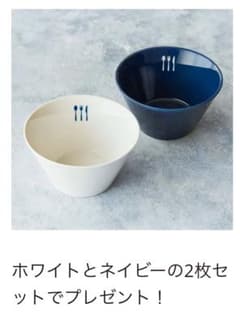 新品未使用　オルビス　ノベルティ　ボウル　２枚セットのサムネイル