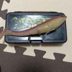 ビビットクルーズのサムネイル