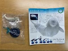 クジラとイルカ シロイルカのサムネイル