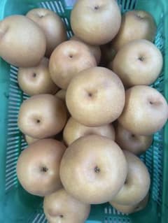 新高梨　超訳あり品　梱包後6キロ位のサムネイル