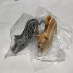 NOBISM  のびズム　柴犬　ネコのサムネイル