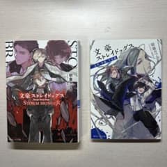 文豪ストレイドックス 小説のサムネイル