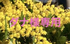 ダナ様専用のサムネイル