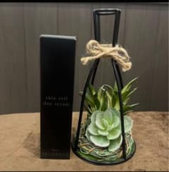 ナリス化粧品 セルグレース スキンヴェール デイセラム× 1本 - メルカリ