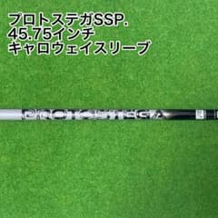 プロトステガSSP 新品未使用 超激レア - メルカリ