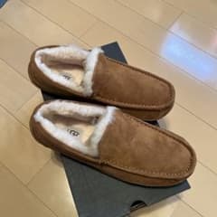 ASCOTのサムネイル