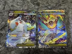 【早い者勝ち】メガユキメノコex SAR／メガルチャブルex SARのサムネイル