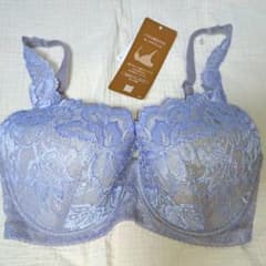 Wing Lesiage ブラジャー F65 グレー&青
