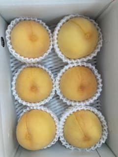 2.数量限定福島県産朝採り黄金桃 マンゴーピーチ箱込み3kg玉数おまかせ贈答用 236.数量限定福島県産黄金桃マンゴーピーチ箱込み約2kg贈答用玉数