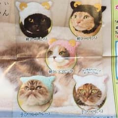 ねこひつじちゃんのサムネイル