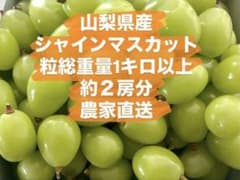 山梨県産　シャインマスカットのサムネイル