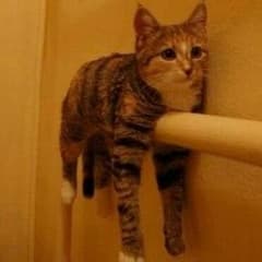 MTG きくぞう様専用のサムネイル