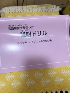 【数量限定】言語聴覚士がつくった説明ドリル (たべもの・どうぶつ・のりもの編）のサムネイル