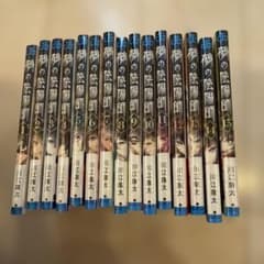 鵺の陰陽師 最新15巻ほぼ初版セット 新品未開封 川江康太 - メルカリ