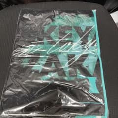 欅坂46 アリーナツアー2019 東京ドーム 箱推しスポーツタオルのサムネイル