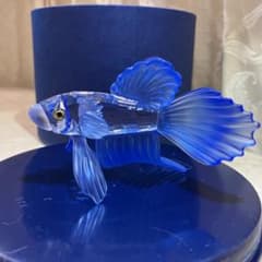 廃盤SWAROVSKI スワロフスキー ファイティングフィッシュ ブ 青い 魚 Swarovski スワロフスキー ファイティングフィッシュ ブルー 置物