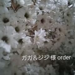 新品 未使用 ドライフラワー リース 窓枠 額縁 フレーム インテリア