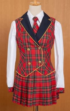 BODYLINE コスプレ アイドル AKB風 M イベント ハロウィン 中古のサムネイル