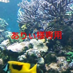 ありぃ様専用   化粧品セットのサムネイル