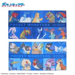 ポケットモンスター プレミアムバスタオル 〜ドラゴン＆ひこう〜 2枚セットのサムネイル