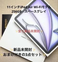 11インチiPad Air Wi-Fiモデル 256GB - スペースグレイ - メルカリ