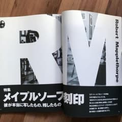 スタジオ・ボイス　メイプルソープ特集のサムネイル