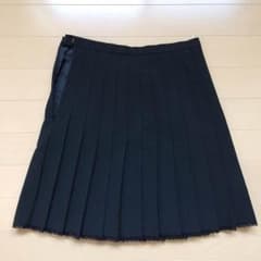INED ミニプリーツスカートのサムネイル
