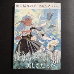 初版・帯付き・シュリンク付】 魔力枯れのダークエルフ 第1巻 - メルカリ