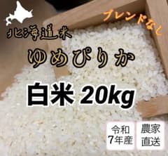 北海道産 ゆめぴりか 白米20kg - メルカリ