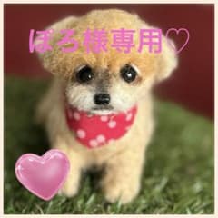 羊毛フェルト　犬　　　ぽろ様専用のサムネイル