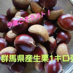 群馬県産丹波栗1kg強(36ケ)+予備のサムネイル