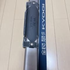 ダイワ VS銀影競技T 中硬 95SV ロッドケース付き 鮎竿 9.5m - メルカリ