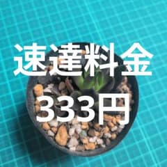 ますちゃん様専用　第四種郵便速達分追加料金333円のサムネイル