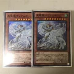 真竜凰マリアムネのサムネイル
