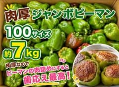 農家直送！肉厚ジャンボピーマン100サイズ約7kgのサムネイル