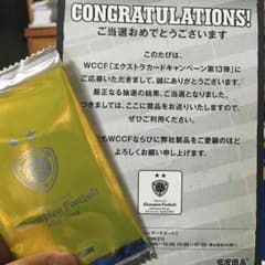WCCF エクストラ 13弾のサムネイル