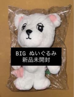 ウクドン イ・ドンウク 2025 韓国 ポップアップ ビッグ ぬいぐるみ