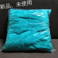 新品、未使用」ノースフェイス ノベルティ クッションブランケット