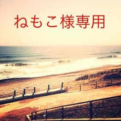 ねもこ様専用のサムネイル
