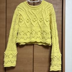 ZARAショート丈ニットのサムネイル