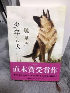 少年と犬　一度読んだだけです。美品のサムネイル