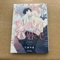 夢の終わりで待ち合わせ 仁嶋中道 ボーイズラブ 漫画