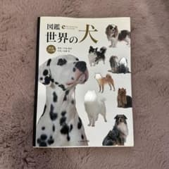 図鑑世界の犬 純血212種のサムネイル