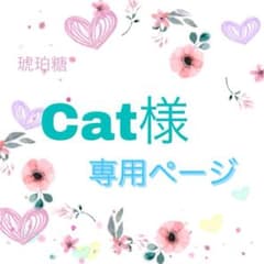Cat様専用ページのサムネイル