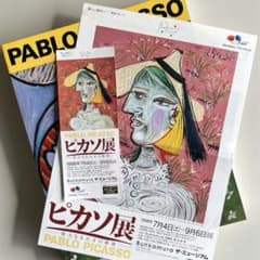 図録・作品集 キュビスムのピカソ展 PABLO PICASSO ピカソ展』図録 - メルカリ
